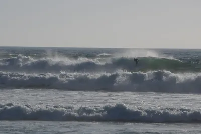 DSC_7048 (Large).JPG